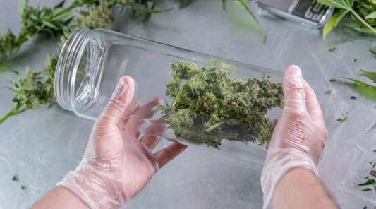 Best Solutions for Cannabis Storage