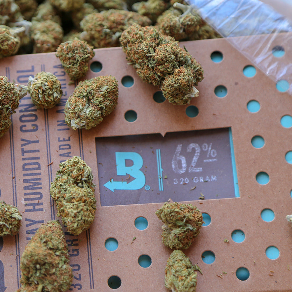 Boveda Size 320 | 62% Two-Way Humidity Packs - 6 count ($23.33/unit)