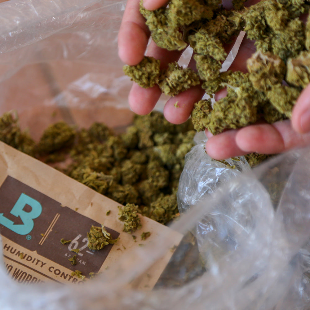 Boveda Size 67 | 62% Two-Way Humidity Packs - 20 count ($3.45/unit)
