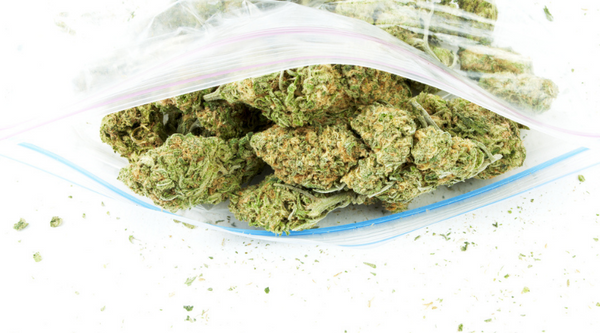 Best Bags for Secure Marijuana Packaging