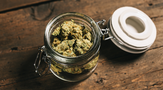 How to Control Humidity When Storing Your Cannabis
